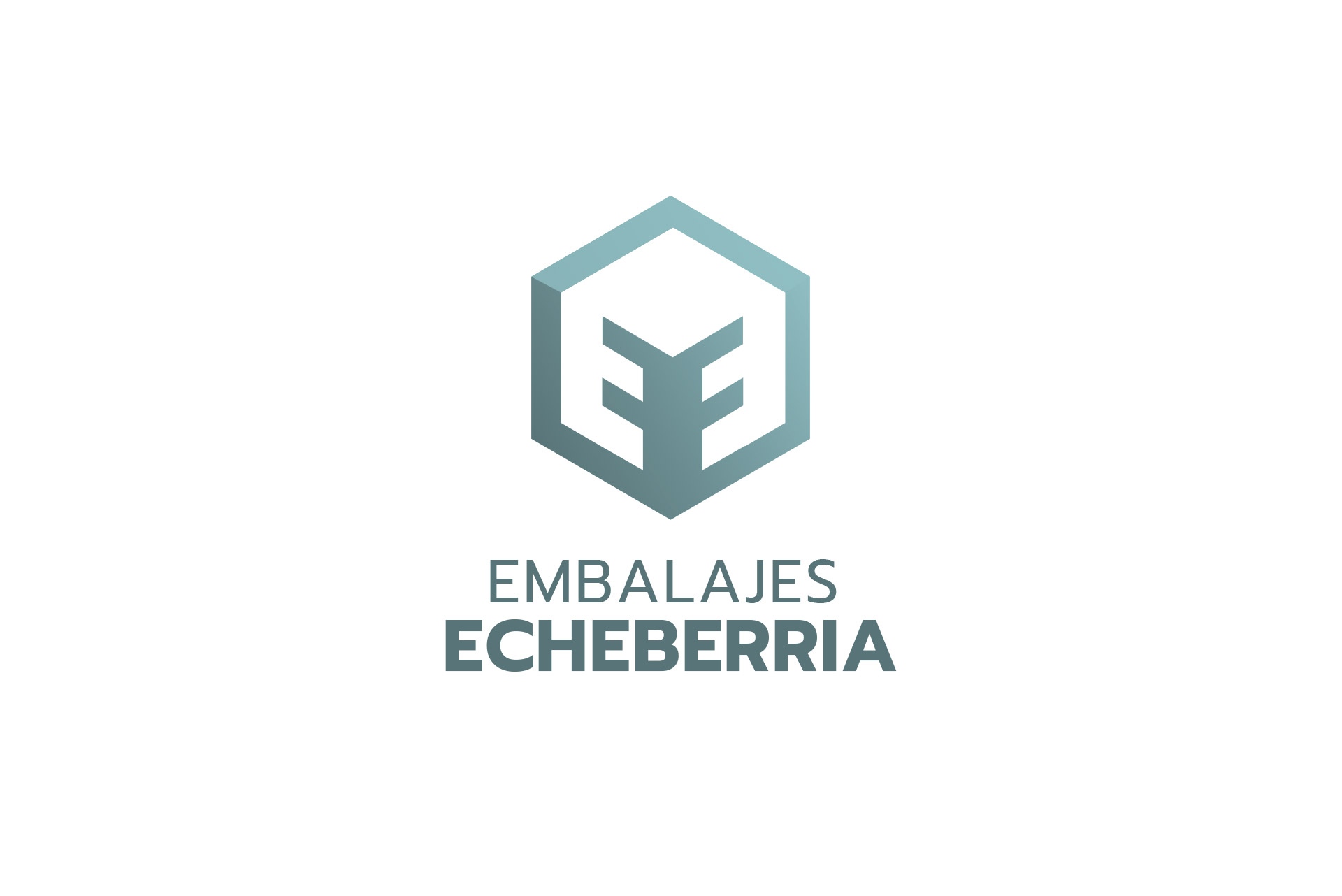 Embalajes Echeberria | diseño de logotipo y papelería Vitoria-Gasteiz