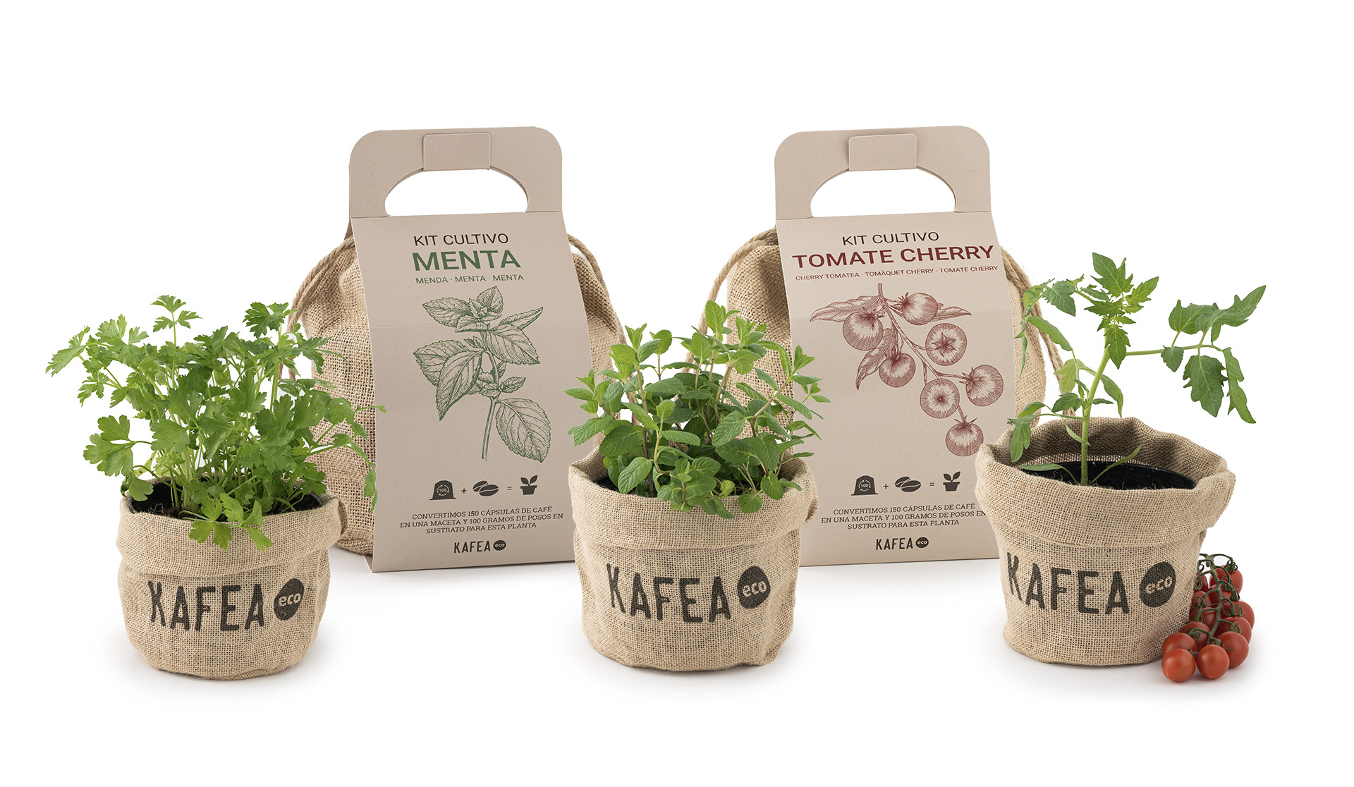 Kafea.eco | Design and creation of packaging Gipuzkoa