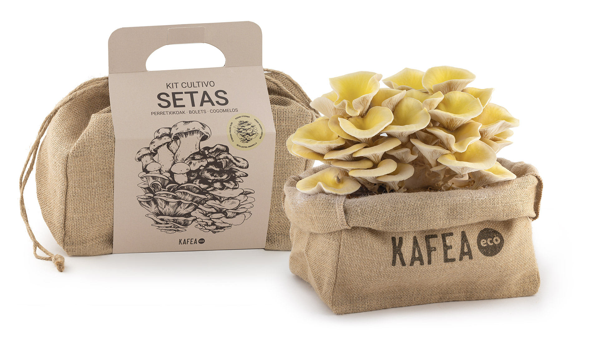 Kafea.eco | Design and creation of packaging Gipuzkoa
