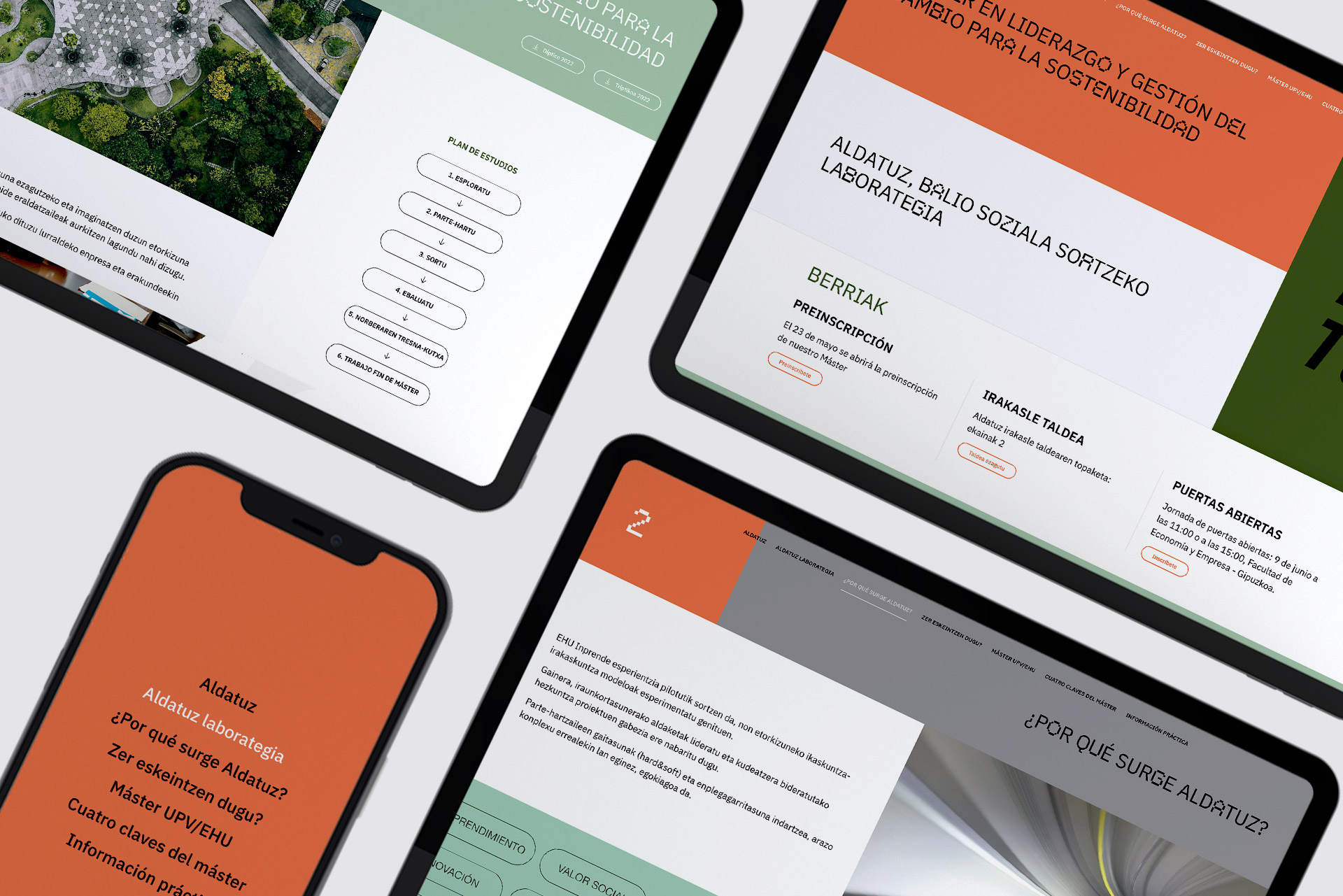images/portfolio/web/aldatuz2.jpg