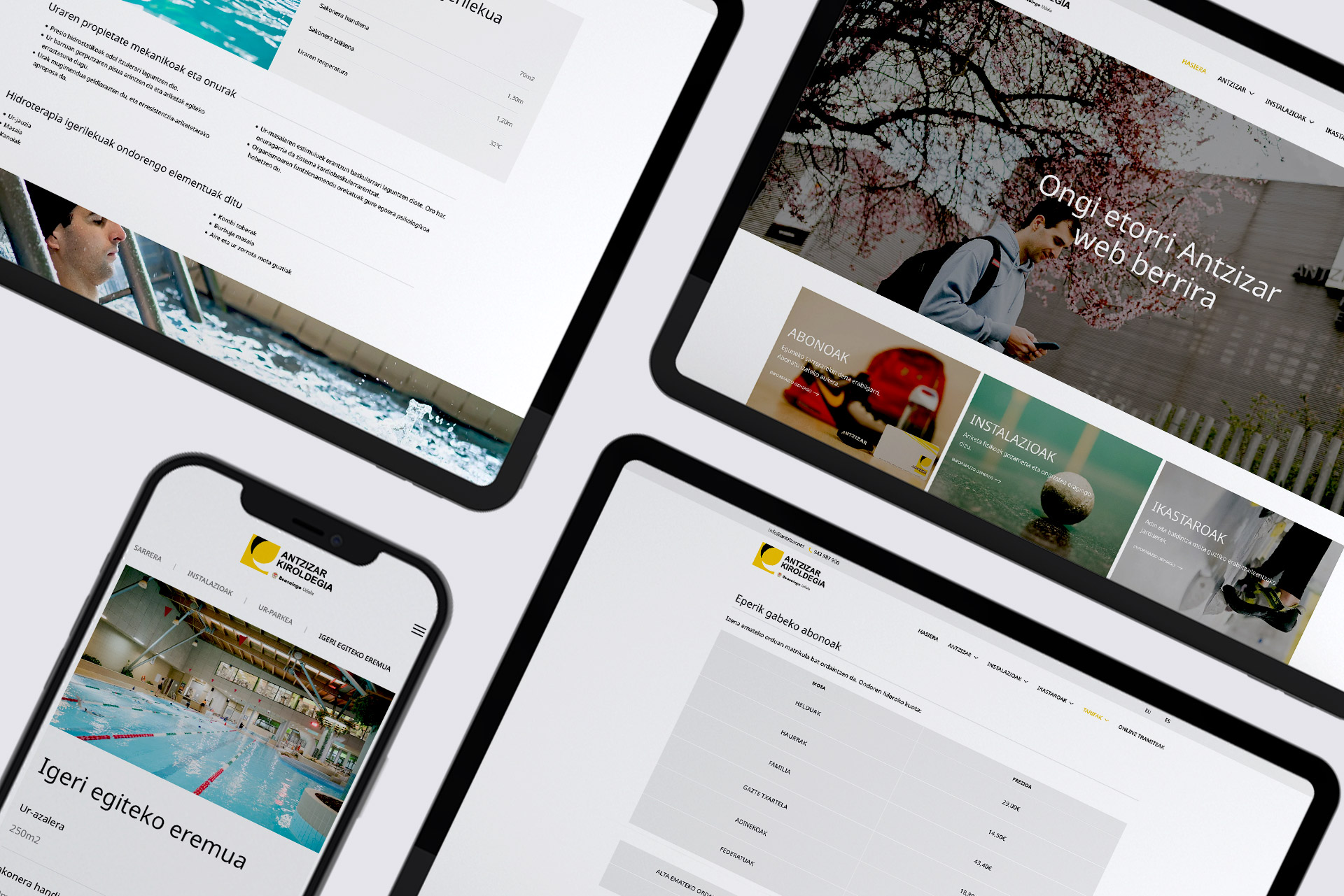 images/portfolio/web/antzizar2.jpg