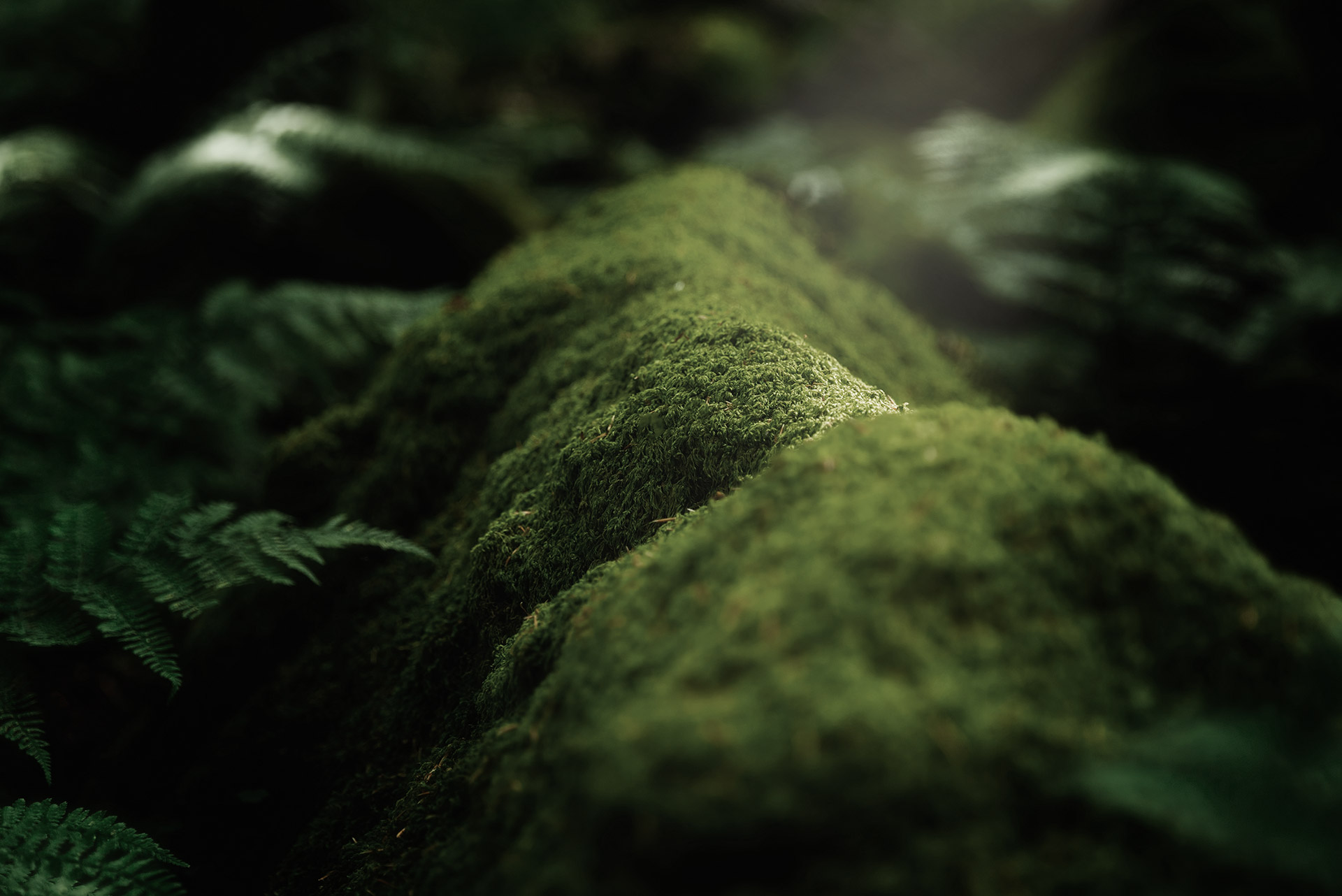 images/portfolio/web/ekonomia-zirkularra3.jpg