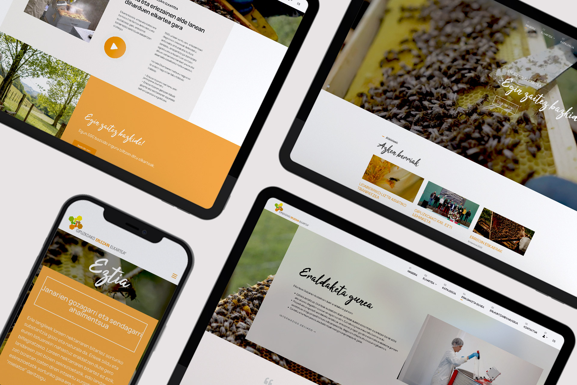 images/portfolio/web/gee2.jpg