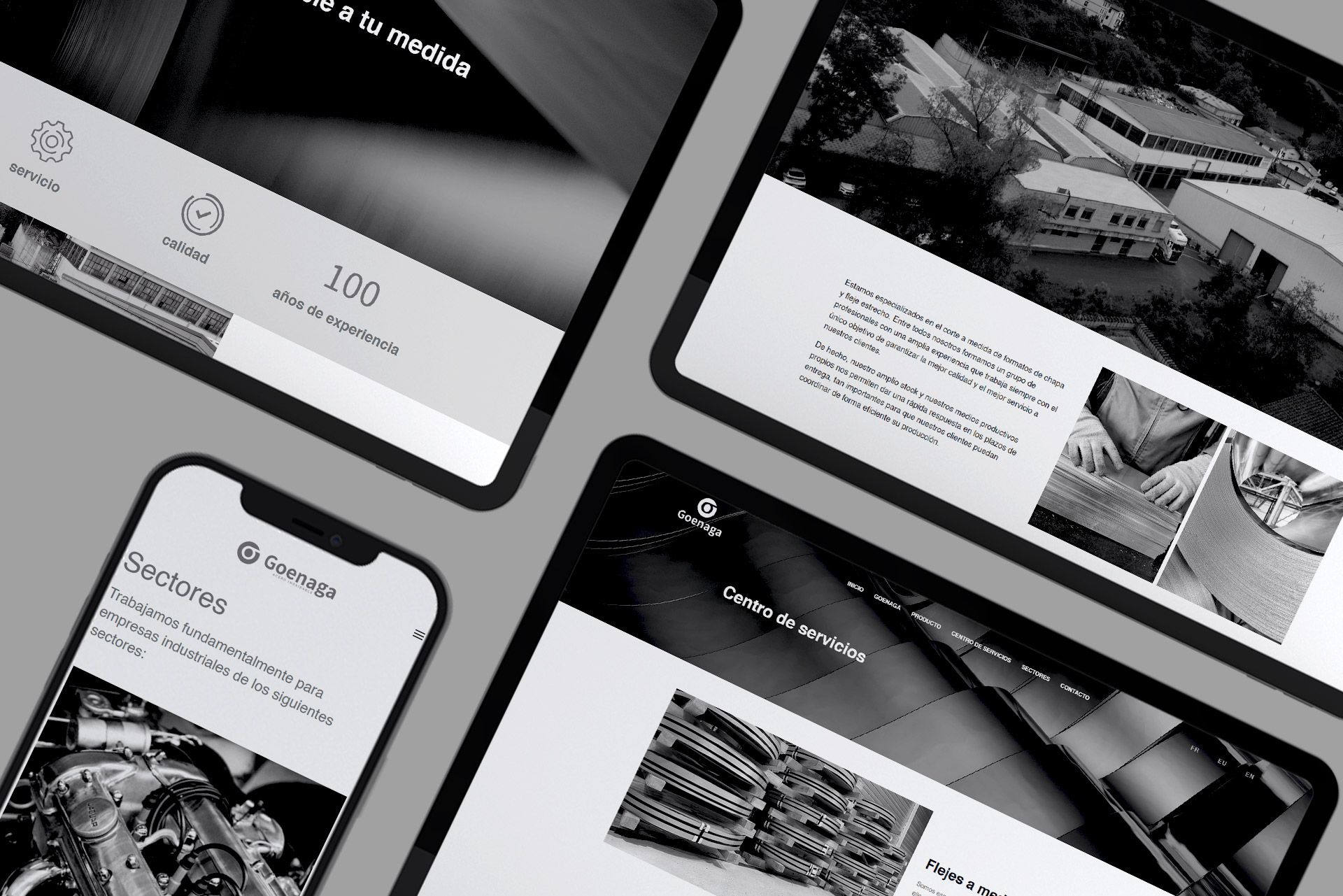 images/portfolio/web/goenaga-pagina-web-profesional-zaldibia.jpg
