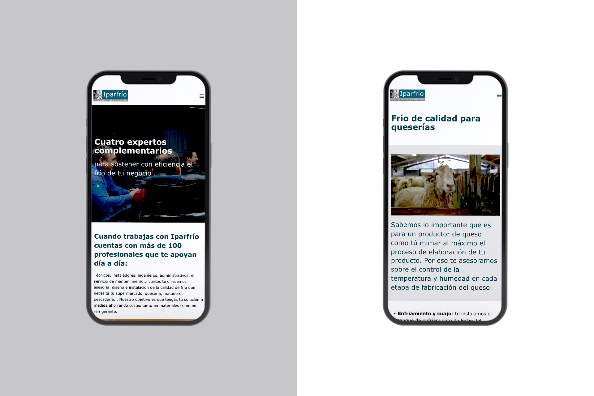images/portfolio/web/iparfrio4.jpg