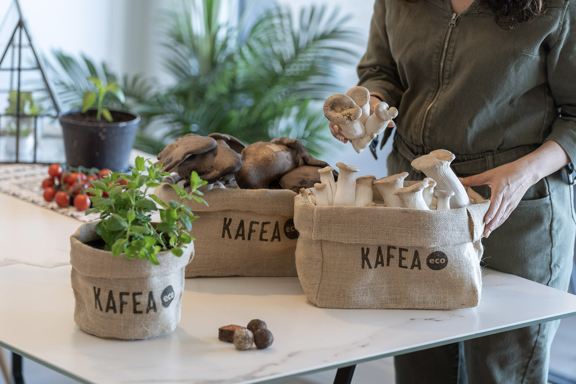 Kafea.eco | packaging and ecommerce in Gipuzkoa