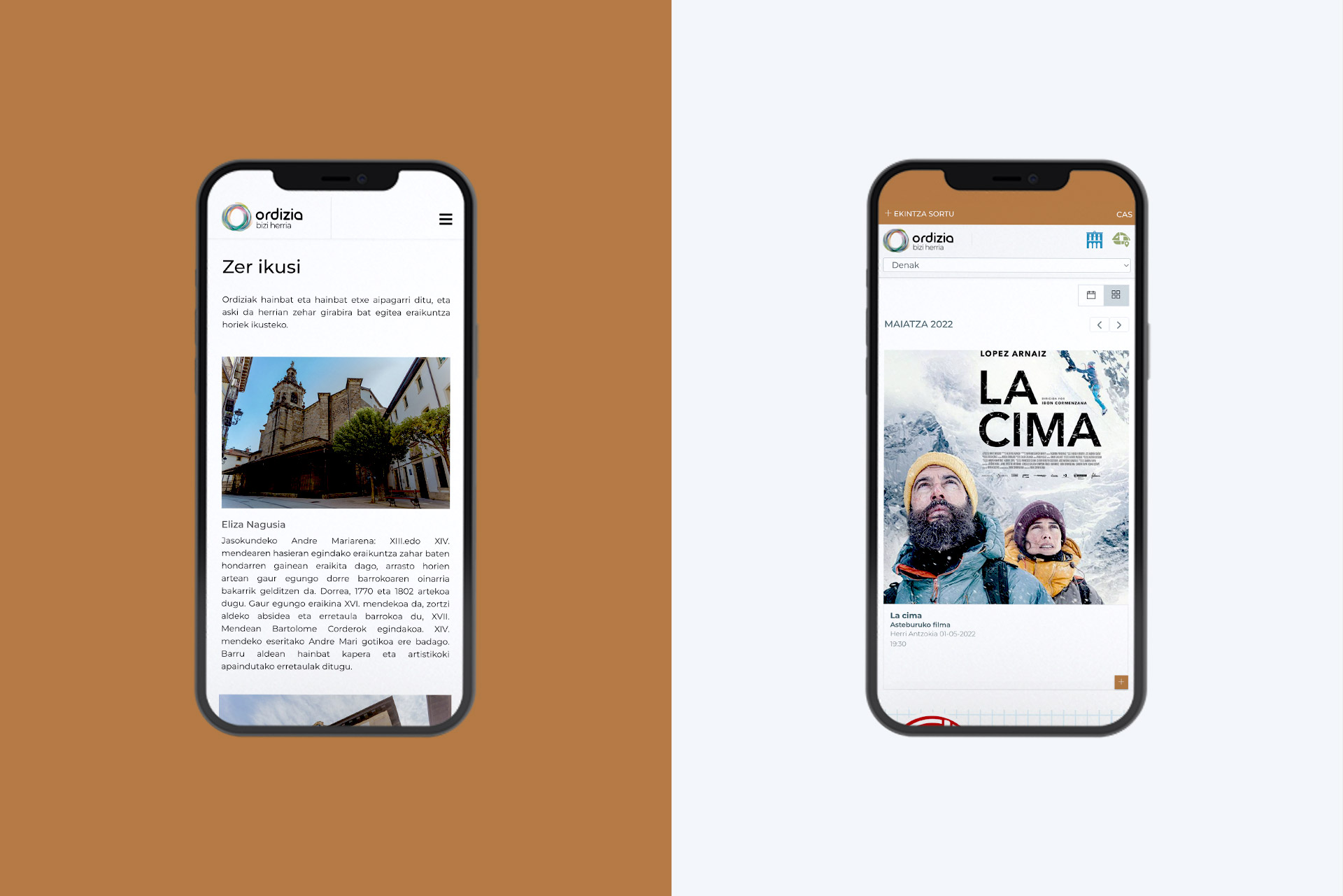 images/portfolio/web/ordizia4.jpg