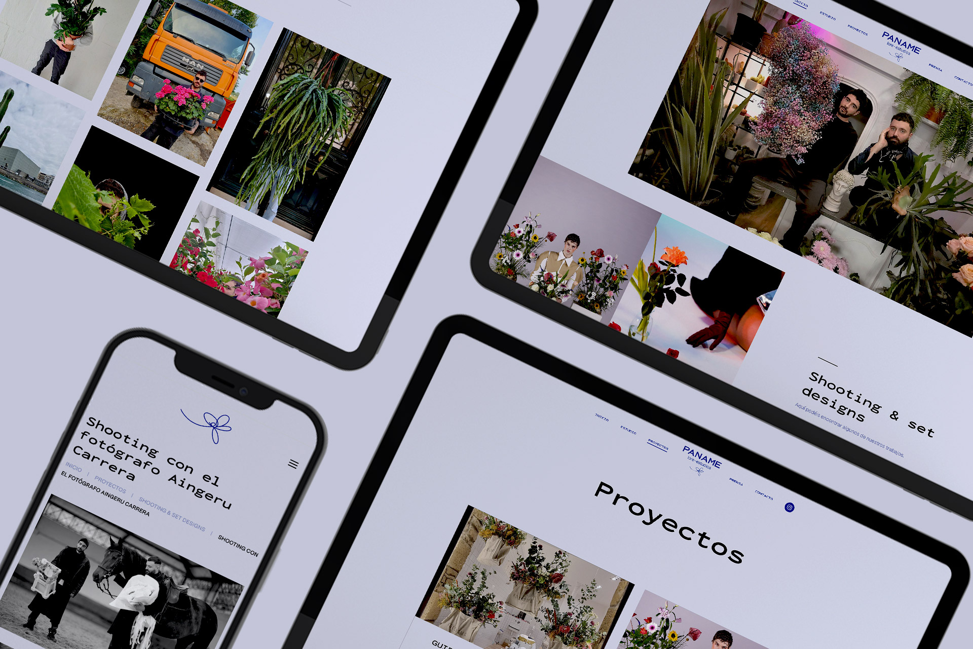 images/portfolio/web/paname2.jpg
