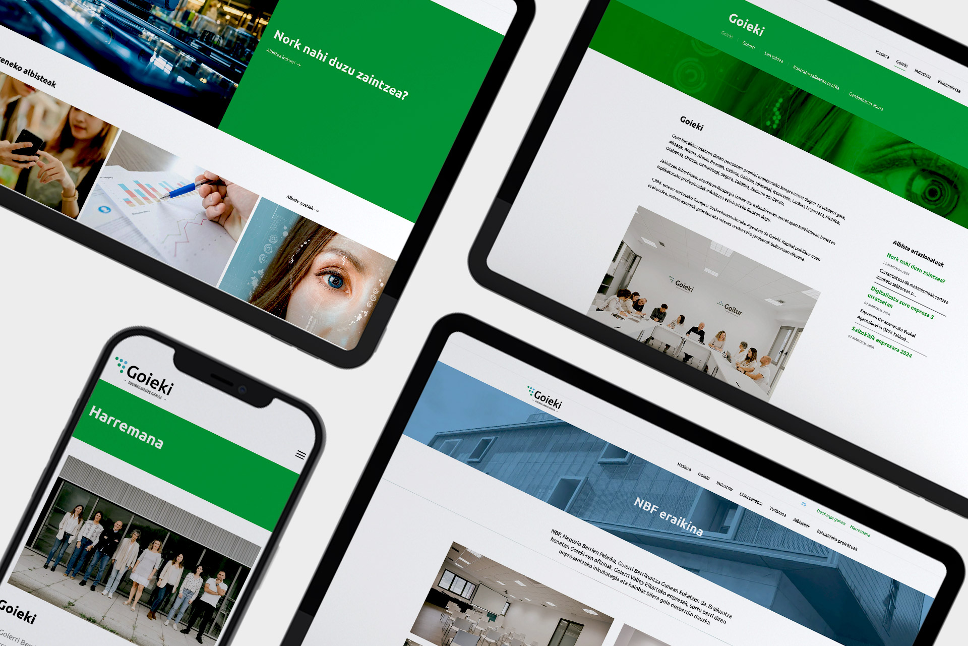 images/portfolio/web/goieki-3.jpg