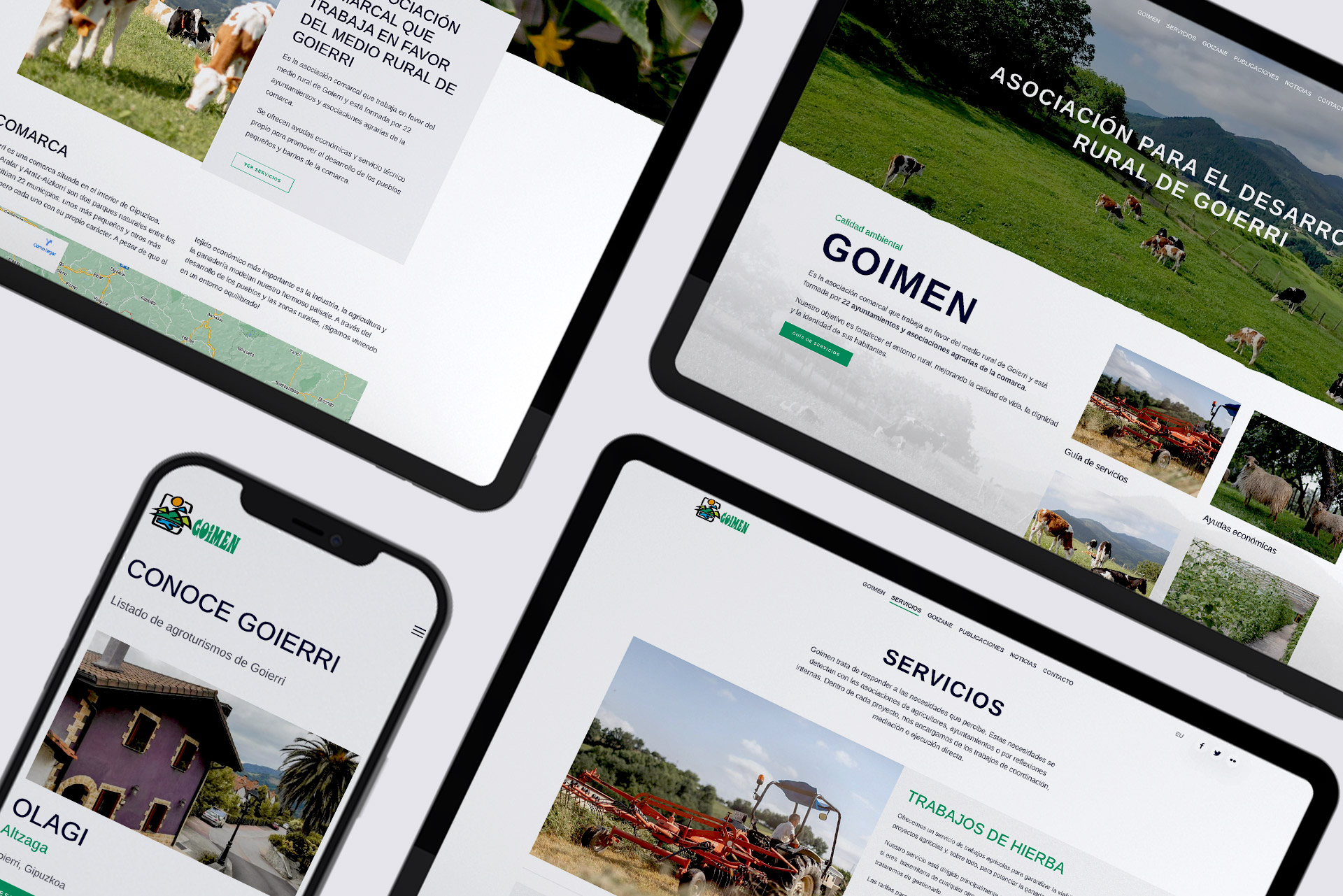 images/portfolio/web/goimen2.jpg