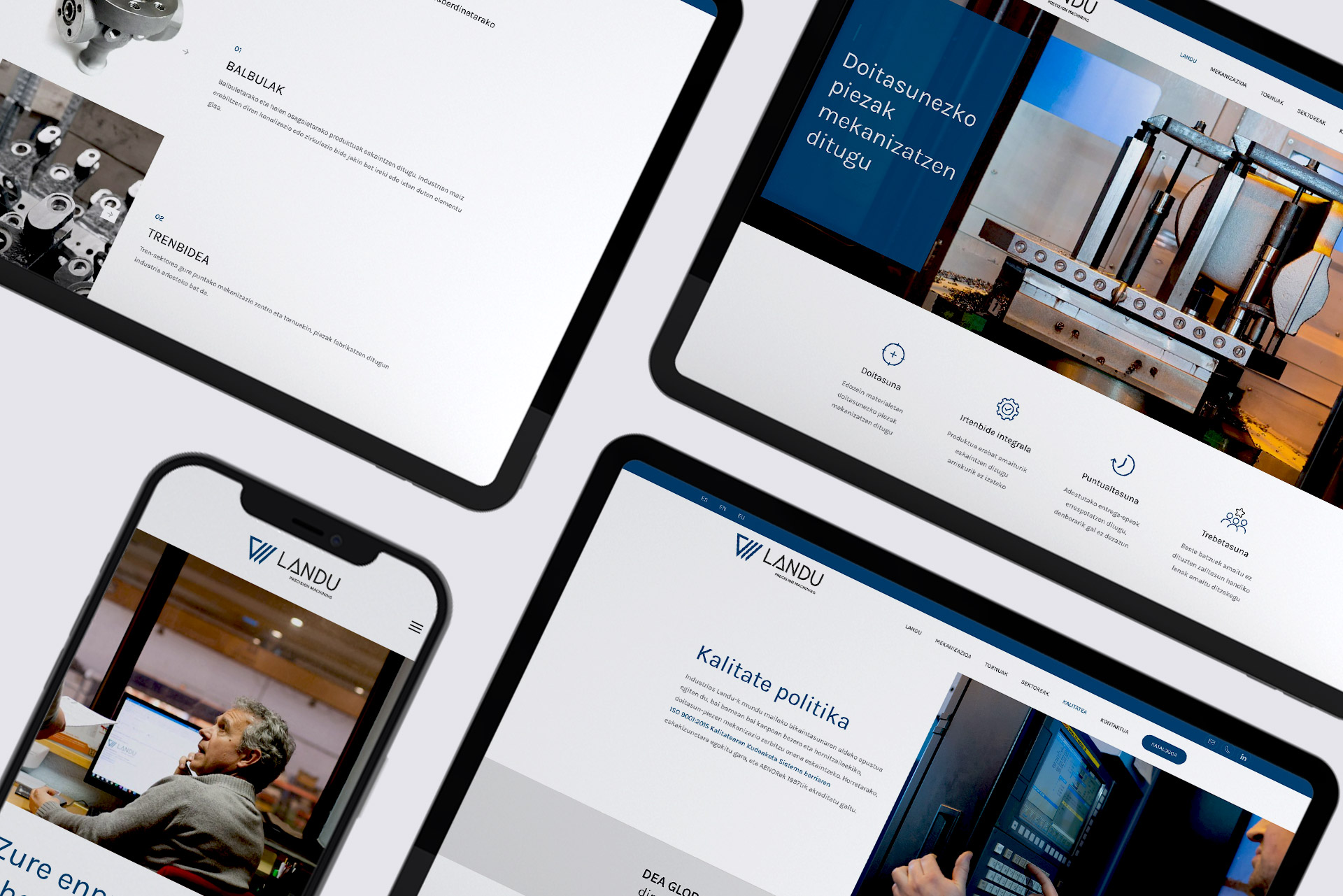 images/portfolio/web/landu2.jpg