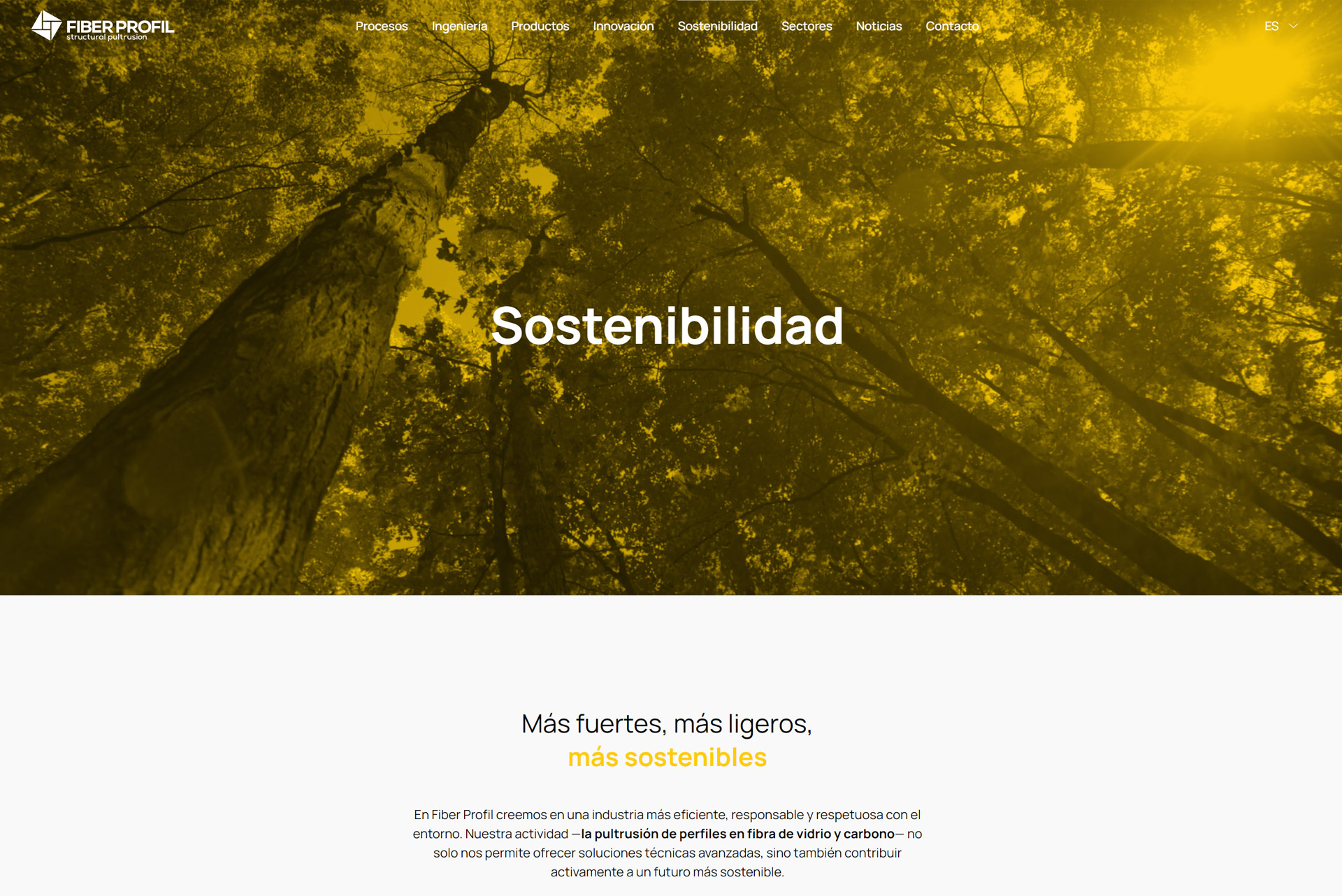 images/portfolio/web/trabajo-web-catalogo-gipuzkoa-fiber-profil.jpg